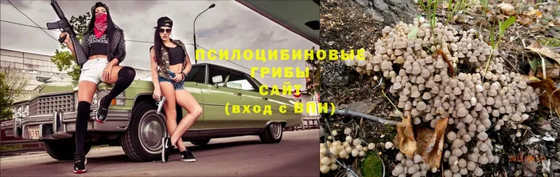 Псилоцибиновые грибы Psilocybe  OMG tor  Невьянск  дарнет шоп 